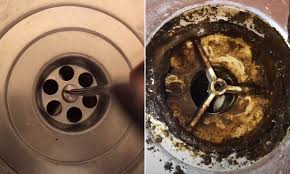 lurking in your kitchen sink