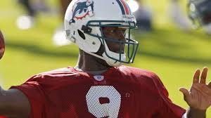 David Garrard Atop Dolphins Qb Depth Chart Newsday