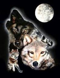 Blingee Images Wolf Spirit Native American Wolf Wolf Artwork