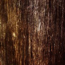 The dark wood grain ring is a ring in dark souls. Dark Wood Grain Ipad Wallpapers Free Download