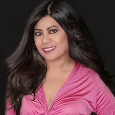 Cyber Meltdown : Tibbils, Dale: Amazon.es: Libros