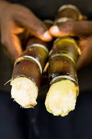 Sugar Cane Fruits Exotiques Rhum Et Rhum Clement