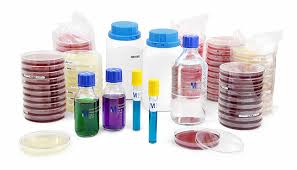 Check spelling or type a new query. Culture Media Used In Microbiology Basic Microbiology The Biology Notes
