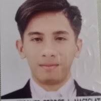 40+ "Christopher George" profiles