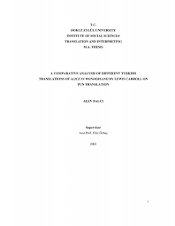 tc dokuz eylül university institute of social sciences translation and ...