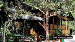 Casabrina vacation villas raub, pahang. Tempat Menarik Untuk Percutian Yang Unik Di Malaysia Cari Homestay