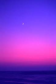 The simple answer to this question is purple. 39 Blue And Pink Ideas Pink Pretty Hairstyles Pink Ombre Hair
