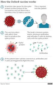 We don't know exactly how long the vaccines will protect us after being fully vaccinated. Covid Had The Jab And Feeling Bad Why Does It Happen Bbc News
