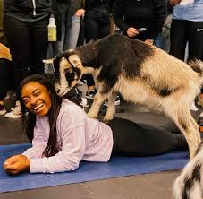 Taryn simon is an art world star; Simone Biles On Twitter Goat Yoga