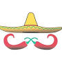 Tacos MX from www.senortacosmx.com