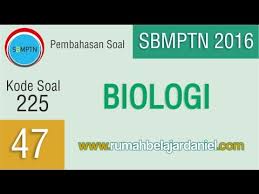 Pembahasan Soal Sbmptn 2016 Kode 225 No 47 Biologi Youtube