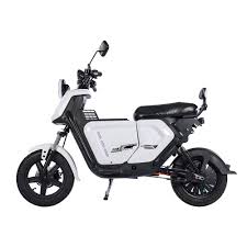 Motocross électrique ZM-DK401