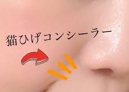 目立ってきたほうれい線を光で飛ばす キャンメイクのハイライトコンシーラー ほうれい線 メイク アンチエイジング メイク メイク