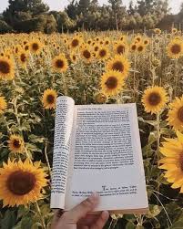 Check out our yellow books selection for the very best in unique or custom,. Book Sunflower And Yellow Image Yellow Aesthetic Yellow Aesthetic Pastel Hufflepuff Aesthetic