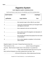 Digestive System Digestive System Worksheet Digestive System Activities Digestive System Lessons