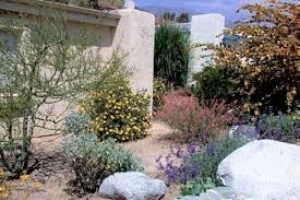 But why is this so? Why Garden With Native Plants California Native Plant Society