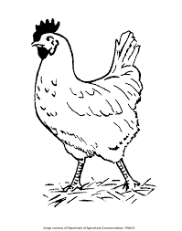 Inspire yourself with timeless artistic styles such as art deco or art nouveau. Chicken Coloring Pages For Kids Coloring Home