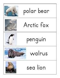 Polar Animals Word Wall Polar Animals Arctic Animals Lessons Polar