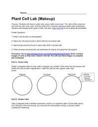 Visit our website for more information about our services or to speak to an expert. Virtual Microscope Lab Cheek Cells