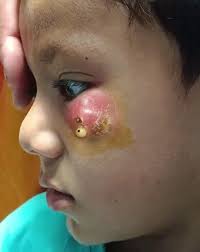 😳 It looked small, but wait till you see the ending! 🎬 Clip in first  comment!