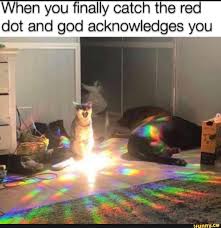When You Finally Catch The Red Dot And God Acknowledges You Ifunny Funny Relatable Memes Really Funny Memes Funny Animal Memes