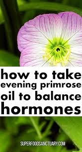 Evening Primrose Oil For Hormone Balance Why It Works How To Use It Superfood Sanctuary Heal Through In 2020 Evening Primrose Evening Primrose Oil Primrose Oil