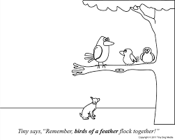Birds Of The Same Feather Flock Together Find Your Love Mate For Life And Don T Bark Up The Wrong Tree Tiny Dogs Bird Feathers Finding Yourself