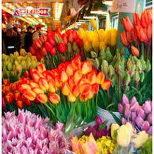What's this place all about? 35 Pikes Market Flowers Ideas Flowers Pike Place Pike Place Market