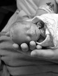 Obituary for Miles Allen Laurie