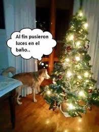 45 Ideas De Memes Navidenos Navidad Humor Chistes Navidenos Chistes De Navidad