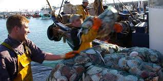 Publié le 03/08/2017 à 03:54 , mis à jour à 09:21. Jakobsmuschelfest Tourisme Bretagne