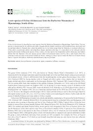 Image result for Ochna dolicharthros