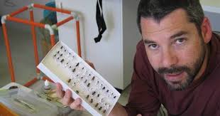 Hey honey, I shrunk the bee population