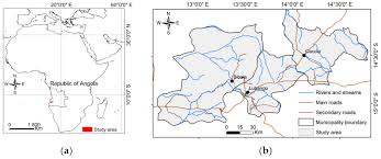 Image result for Afrocanthium lactescens