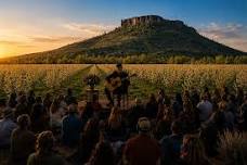 Wilder Frets: Classical Guitar in the Wilderness
