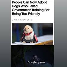 I M Going To Get One Try Out Our Mobile Social Game Link In Bio Icebreaker Memes Australianmemes Aussie Funny Memes Monkeys Funny Aussie Memes