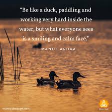 The looks like a duck phrase (or duck test as some call it) is now thought of as a mildly amusing philosophical argument but back in the 18th century would certainly have been more akin to the. 51 Keep Calm Quotes To Help Your Mind Stay Calm Keepcalmandreadatcalmsage