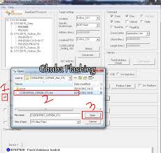Halo para sahabat pecinta samsung ace 3, apakah sobat memiliki masalah dengan smartphone ini? Tutorial Cara Flash Samsung Champ C3303i Via Flash Loader Ghuba Flashing