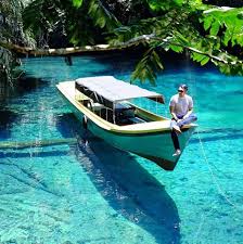 We did not find results for: Lake Labuan Cermin Indonesia Steemit
