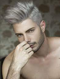 20 Erstaunliche Graue Frisuren Fur Manner Silver Hair Men Men Hair Color Mens Gray Hair Dye