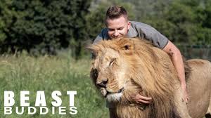 With increased speeds and access to the internet, youtube has become one of the biggest hubs for digital content across the african continent. Lion King 23 Year Old Is Best Friends With Big Cats Beast Buddies Youtube