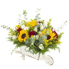 Colores: Dominga Blanco