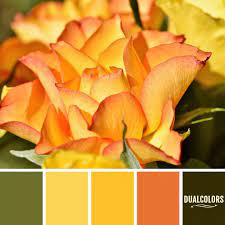 Color Paleta 15 Paletas De Color Naranja Paletas De Colores Patrones De Color