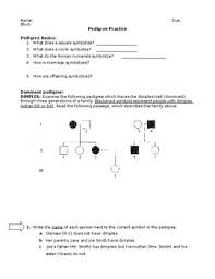 Pedigree Practice Worksheet Teachers Pay Teachers