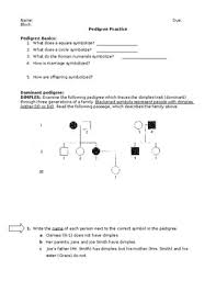 How many males have hemophilia? Pedigree Practice Worksheet And Key By Cs Science Tpt