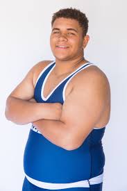 To be clear, i am not saying that hamilton only won, or gained. 2019 20 Bvarsity All Area Boys Wrestling Team Sports Bakersfield Com