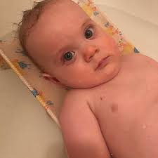 Shelley Wees Pelletier