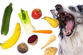 But can dogs eat cucumbers safely? Can Dogs Eat Cucumbers Hellobark