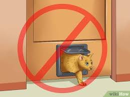 May 09, 2020 · unlike female humans, the reproductive cycle of a cat is a bit unpredictable. How To Deal With A Female Cat In Heat 10 Steps With Pictures