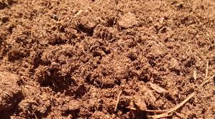 This is the best quality peat moss we have found for our carnivorous plants and it's also great for a wide variety we buy our peat moss in bulk and offer in smaller quantities suitable for most people who do not need a large amount. Sphagnum Peat Moss 25l Organic Gardening Solutions
